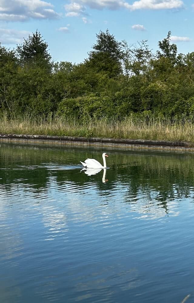 Activité sportive et découverte de la nature en Champagne