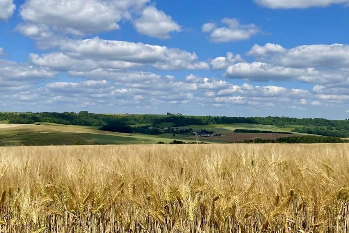 Présentation de La Maison Rouge à Beaurieux, maison d'exception en Champagne, à proximité de Reims